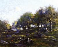 Afternoon Shadows, Mystic