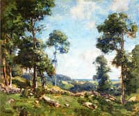 Forest Landscape
