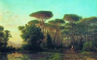 Road among Pine Trees
