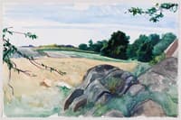 Landscape with Rocks