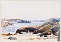 Rocky Shore and Water