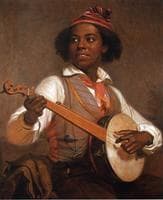 The Banjo Player