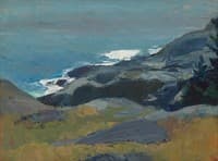 Waves and Rocky Shore
