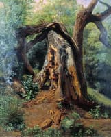 An Old Tree