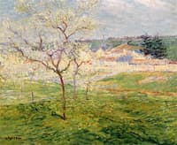 Orchard in Spring