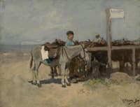 Donkey Stand on the Beach at Scheveningen