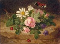 Flowers with a Butterfly