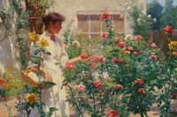 Among the Roses