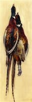 Hanging Pheasants