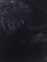 The Garden of Gethsemane