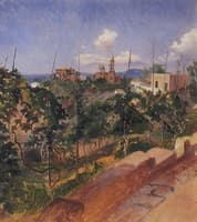 Vineyard in Vico