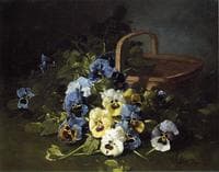 Pansies