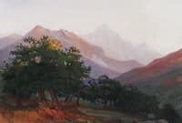 Oak Trees in Carrara Mountains