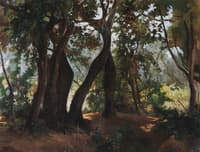 Forest in Livorno