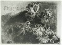 Still Life with Roses