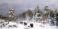 A Wintery Walk