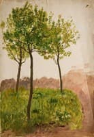 Trees