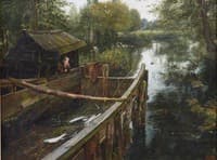 Trout in the Eel Reeve