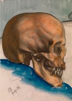 The Skull