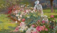 Peonies