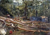 Felled Timber