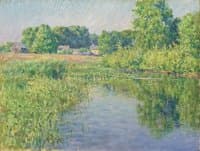Summer Reflection