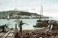 The Little Shrimper