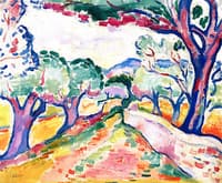Olive Grove