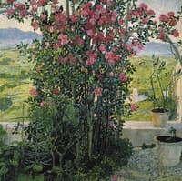 Valley in Umbria