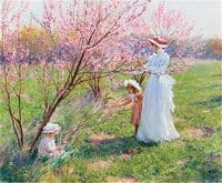 Peach Blossoms