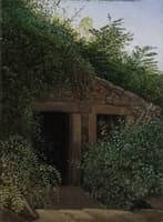 An Overgrown Mineshaft