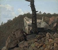 Baum über Steinen