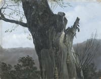 Study of a Tree Trunk