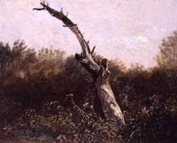 Study of a Dead Tree