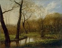 Woodland Stream