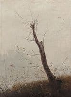Young Tree by the Waters Edge