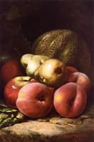 Still Life of Fruit