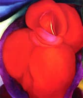 Red Flower