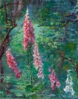 Foxgloves