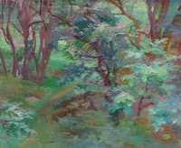 Forest Interior