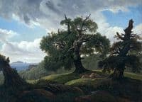 Memory of a Wooded Island in the Baltic Sea