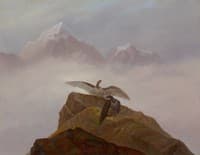 Birds of Prey in the Alps