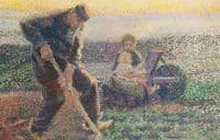 Farmer planting Cabbage