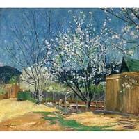 Spring Blossoms