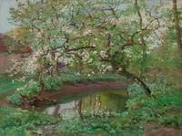 The Old Orchard