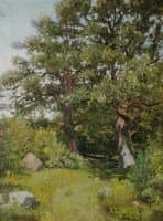 Summer Meadow