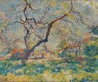 Orchard in Springtime