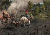 Preparing to Sow Linen in the Vologda Region