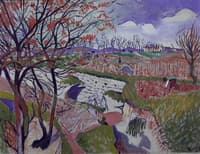 Vineyard in Spring