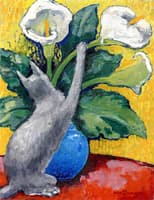 Cat Playing with Arums